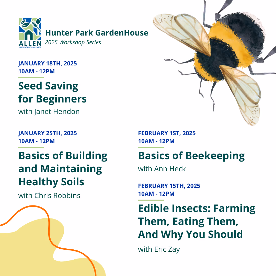 Second slide of Instagram post promoting Hunter Park GardenHouse 2025 Workshop Series listing Seed Saving for Beginners, Basics of Building and Maintaining Healthy Soils, Basics of Beekeeping, and Edible Insects workshops with dates and instructors, accompanied by a large illustration of a bee.